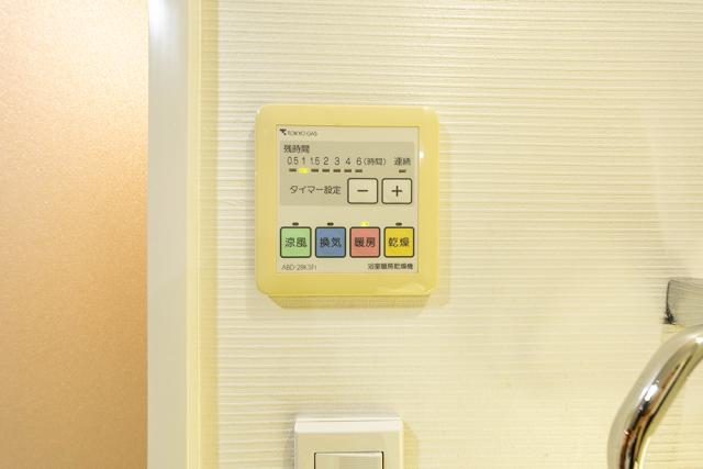 その他  写真撮影日：2026-05-08