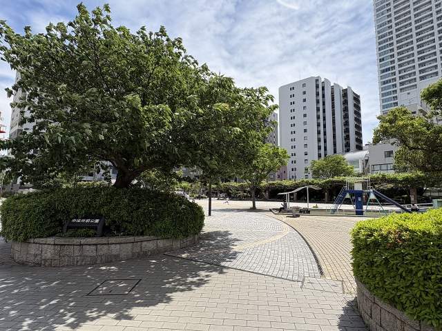 市役所前公園 80m 写真撮影日：2026-05-11