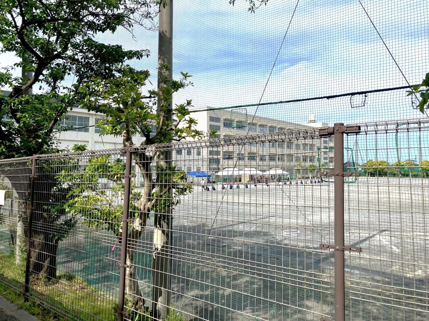 富岡中学校