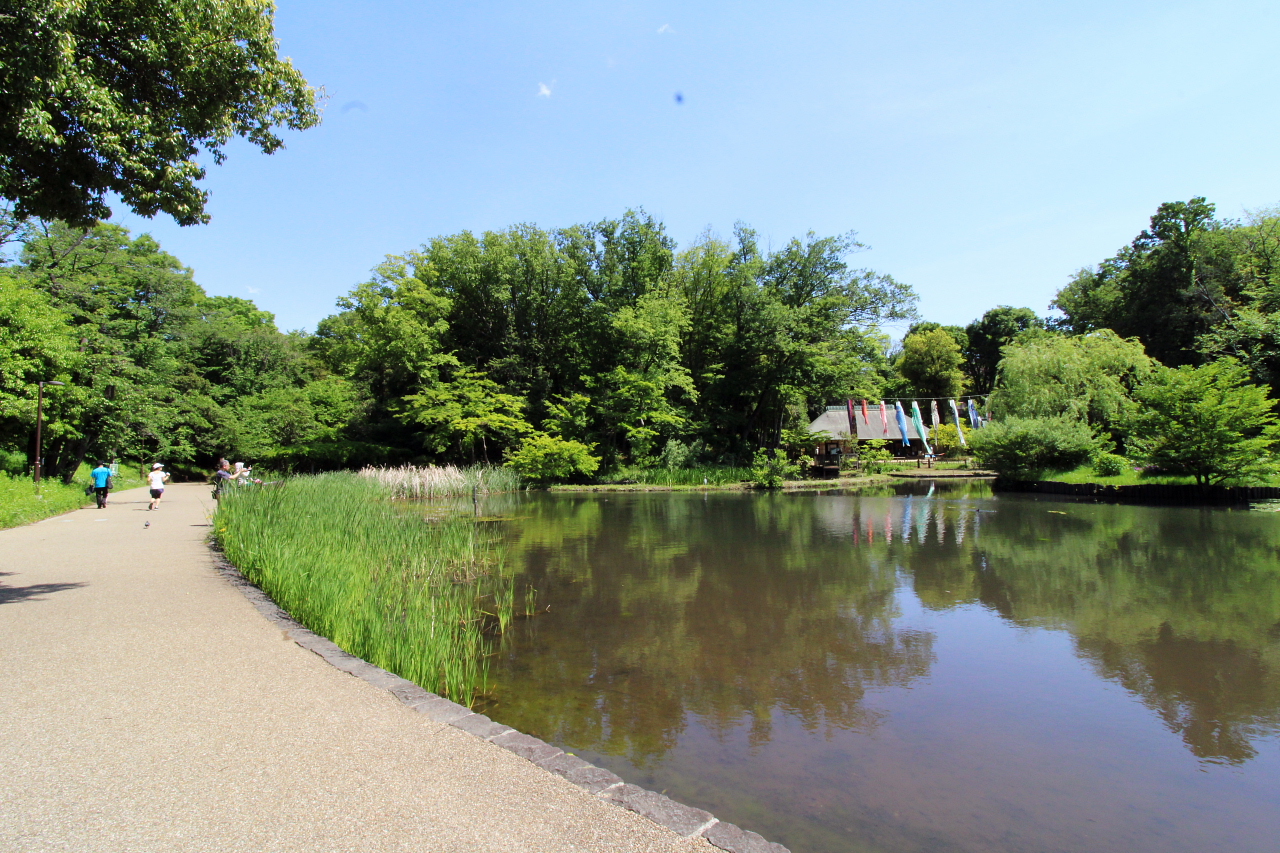 せせらぎ公園　徒歩12分