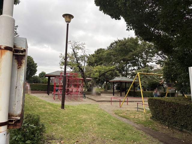 茅ケ崎市立丸山公園 800m 写真撮影日：2026-08-09