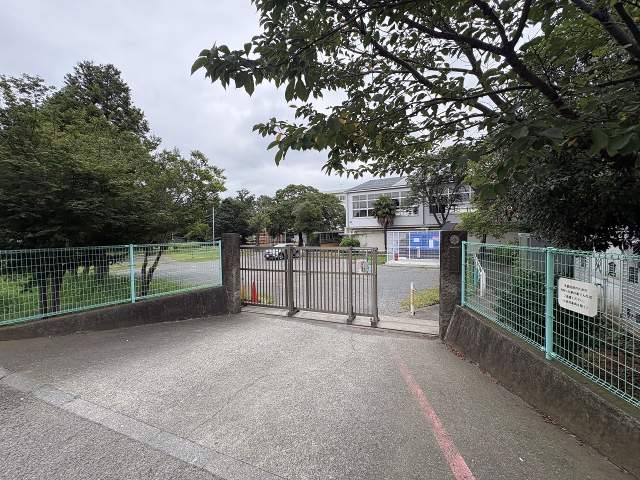 茅ケ崎市立小出小学校 860m 写真撮影日：2026-08-09