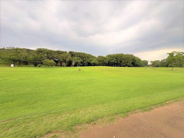 根岸森林公園 530m 写真撮影日：2026-09-07
