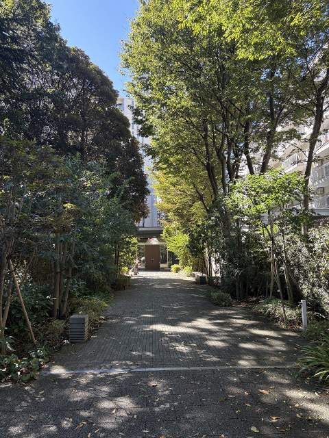 その他設備 エントランス  写真撮影日：2026-09-24