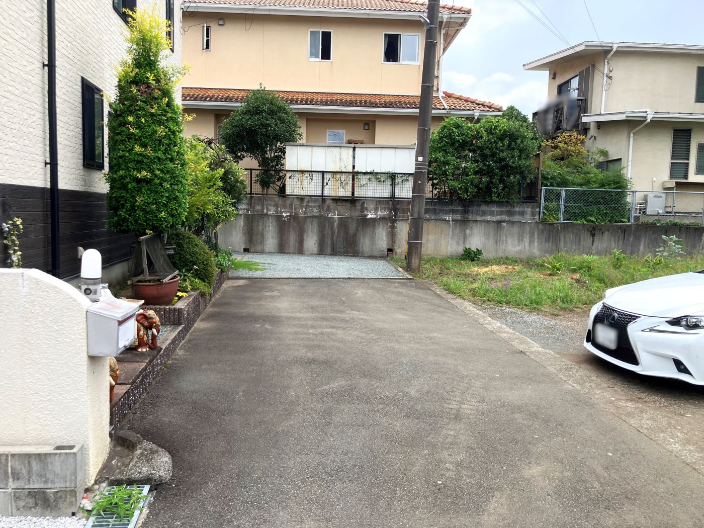 現地写真