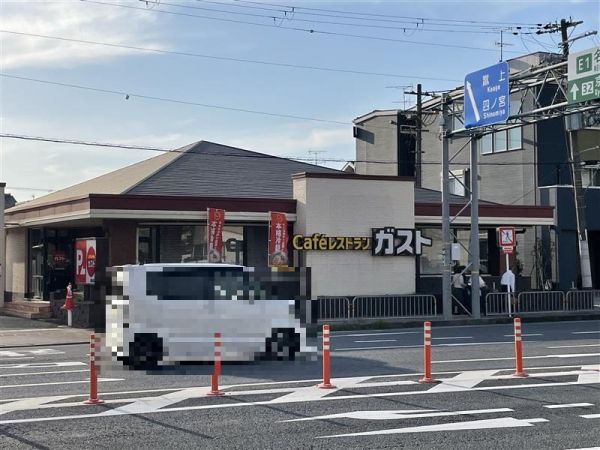 その他  写真撮影日：2024-04-14