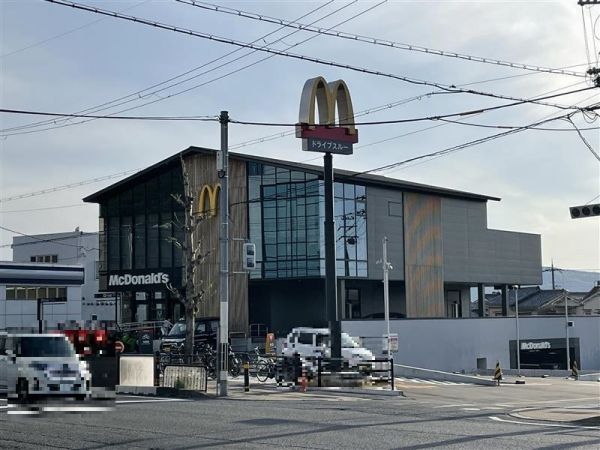 その他  写真撮影日：2024-04-14