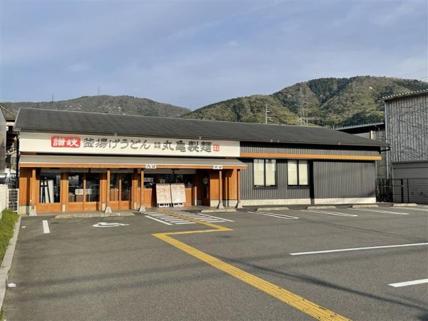 その他  写真撮影日：2024-04-14