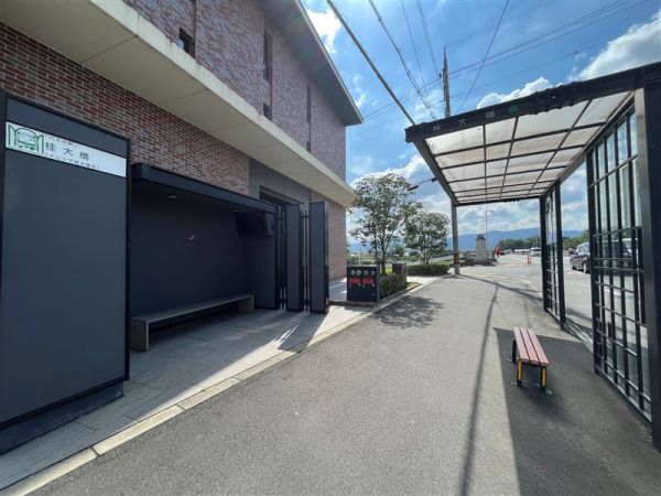 その他  写真撮影日：2023-09-11