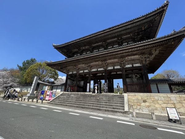 仁和寺 2100m 写真撮影日：2024-08-16 