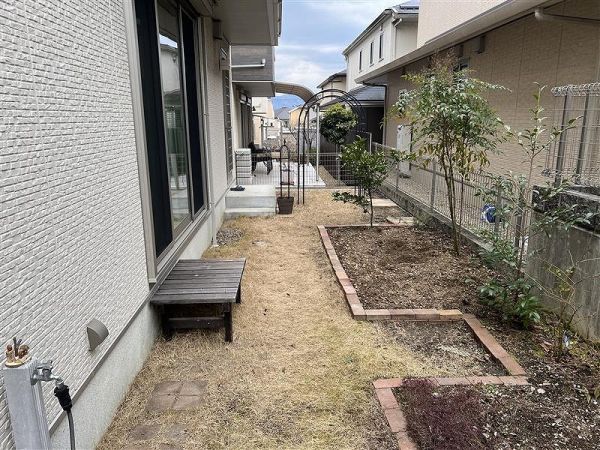 庭  写真撮影日：2025-03-03