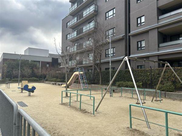 吉田河原公園 50m 写真撮影日：2025-02-07