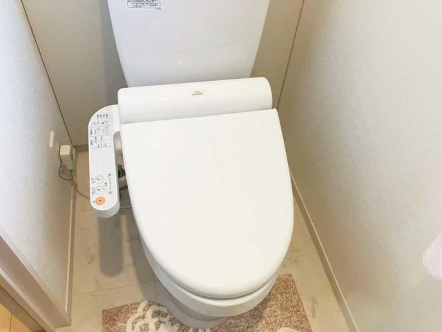 トイレ  写真撮影日：2025-06-30