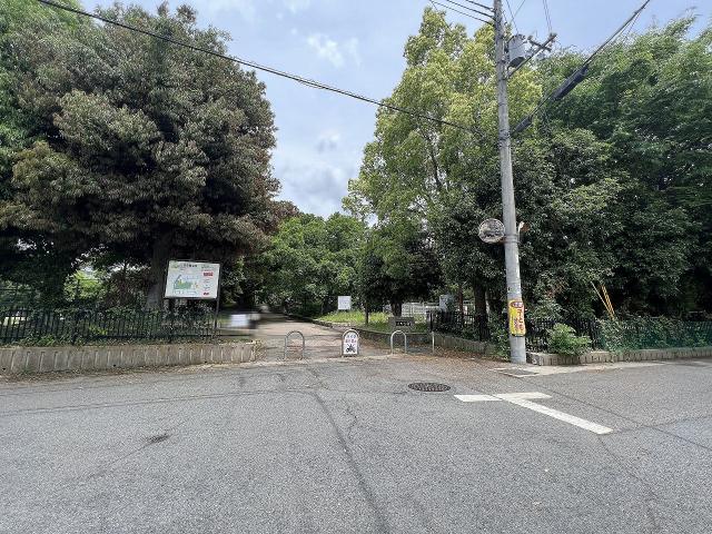 東野公園 217m 写真撮影日：2025-08-01