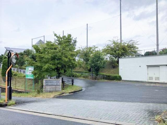 精華台小学校 1200m 写真撮影日：2025-09-13