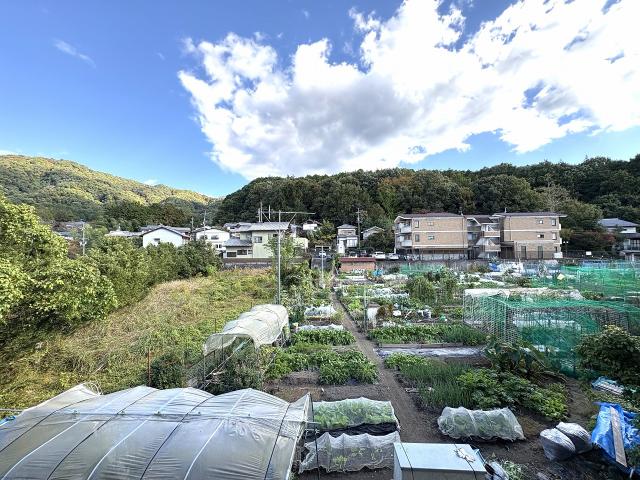 住戸からの眺望写真  写真撮影日：2025-11-08