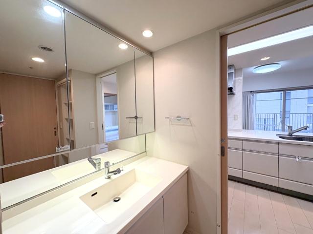 洗面台・洗面所  写真撮影日：2025-11-14