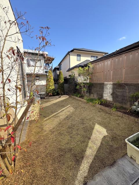 庭  写真撮影日：2025-12-20