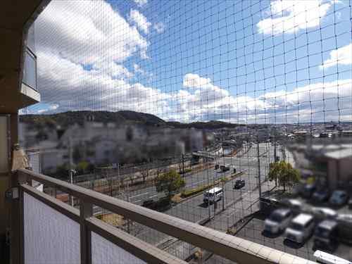 バルコニーからの眺望