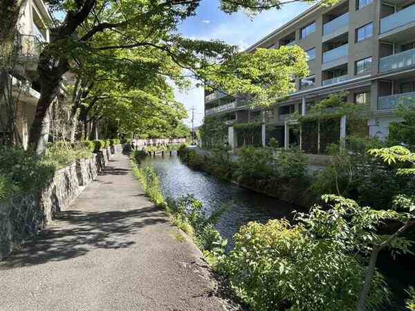 専用庭付きの1階住戸です。岡崎公園が徒歩圏内で、自然を身近に感じられる住環境が整っています。