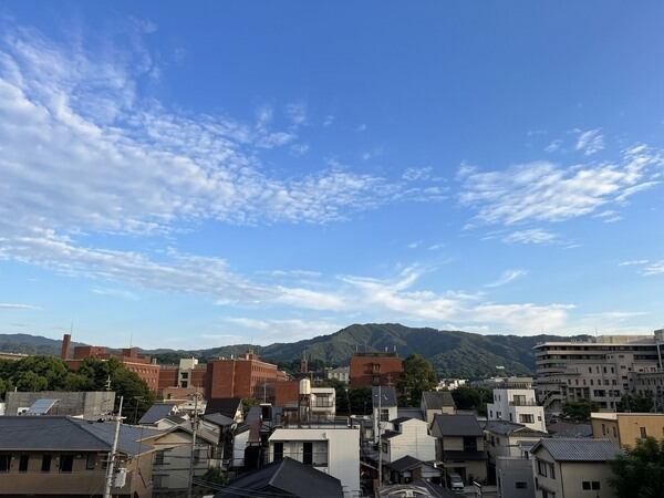 目の前に視界を遮るものなく、開放的な景色。晴れた日には、豊かな山々や気持ち良い青空を望めます。