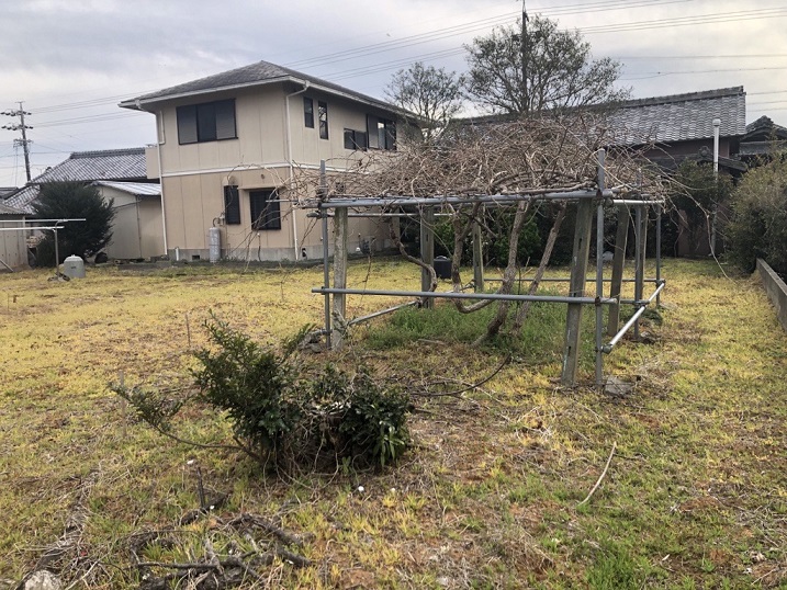 現地 写真撮影日：3/26/23, 12:00 AM
