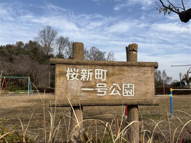 桜新町一号公園 38m 写真撮影日：2026-02-14