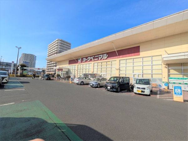 ヨークベニマル新田東店 540m 写真撮影日：2025-02-02 