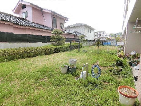 庭  写真撮影日：2025-05-01
