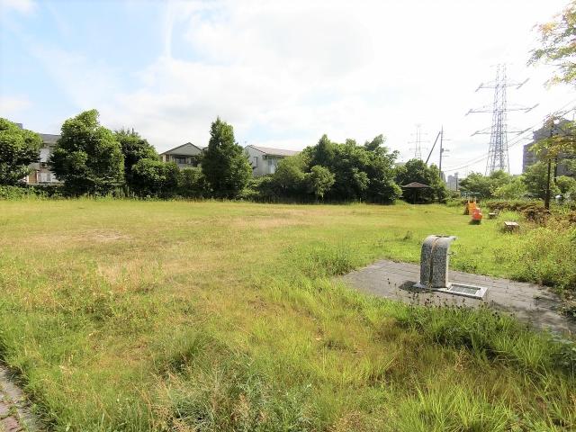 みずほ台公園 100m 写真撮影日：2025-07-13