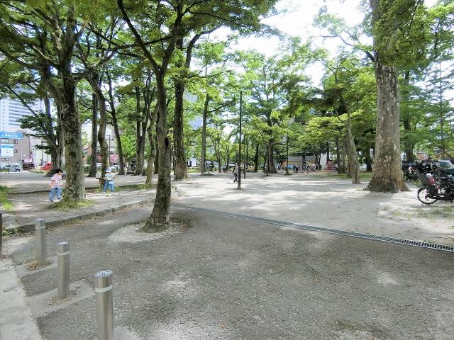 勝山公園 460m 写真撮影日：2025-06-20