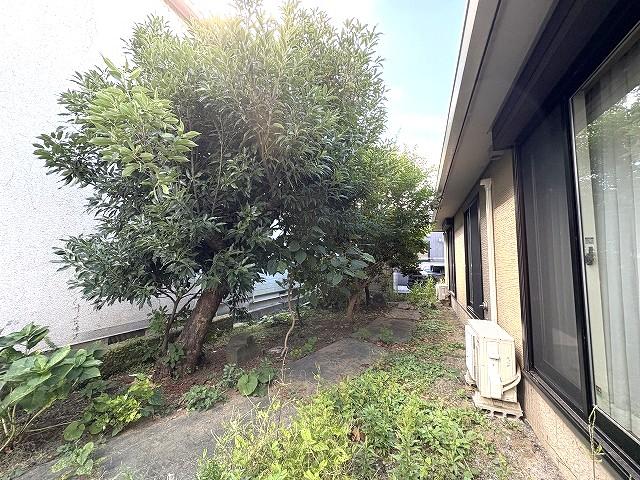 その他現地  写真撮影日：2025-10-17