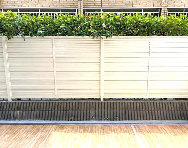 庭  写真撮影日：2026-01-22