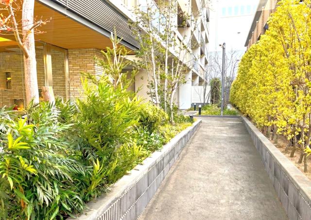 その他現地  写真撮影日：2026-01-22