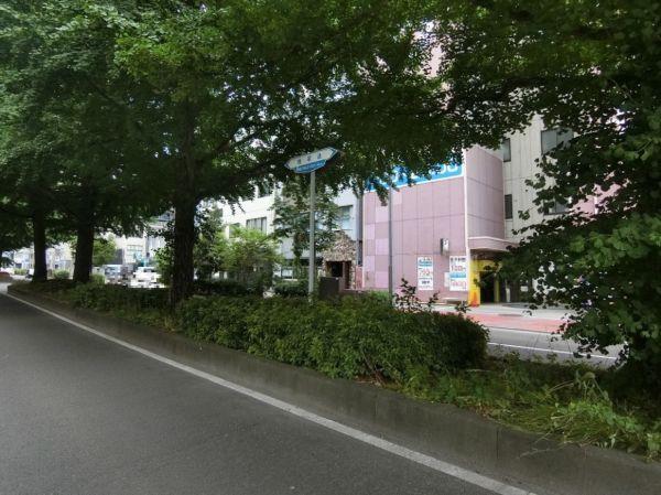 晩翠通 1m 写真撮影日：2023-06-22