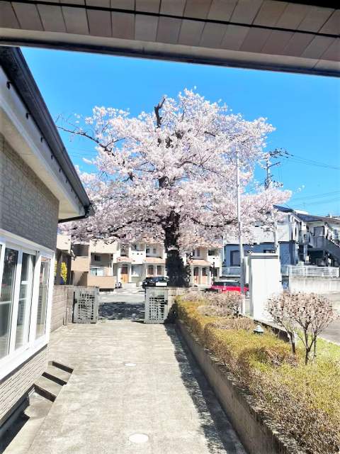 現地外観写真  写真撮影日：2026-06-14