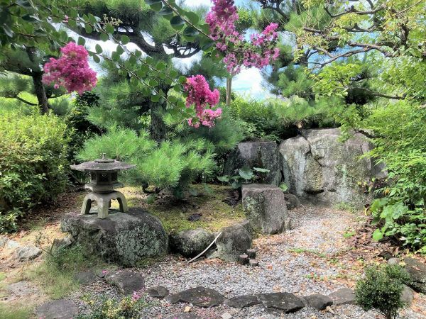 庭  写真撮影日：2023-08-24