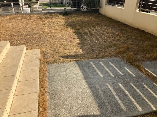 庭  写真撮影日：2024-12-19