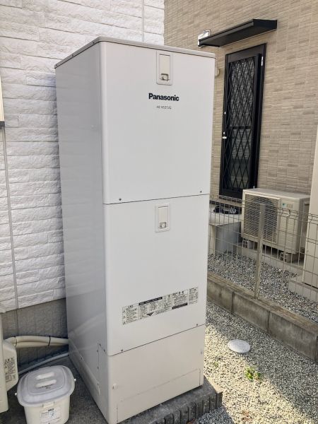 その他  写真撮影日：2024-12-19