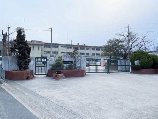 三碓小学校 540m 写真撮影日：2025-03-13 