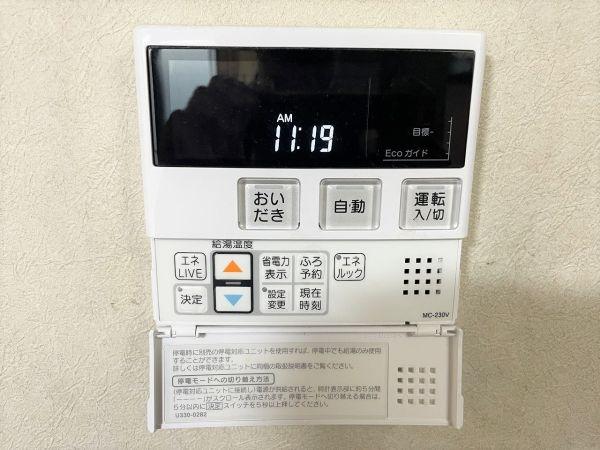 その他  写真撮影日：2025-04-13