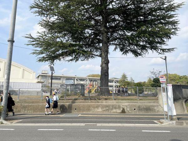 山の辺小学校 1200m 写真撮影日：2025-04-19