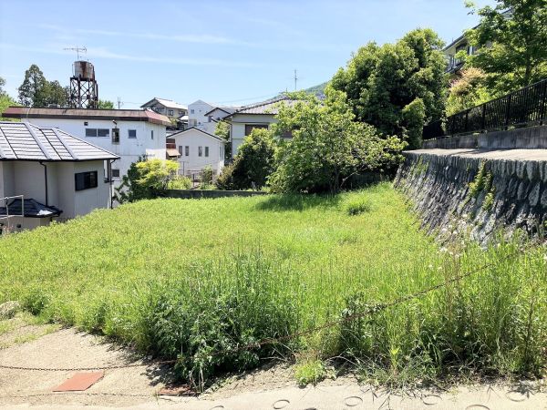 その他現地  写真撮影日：2025-05-08