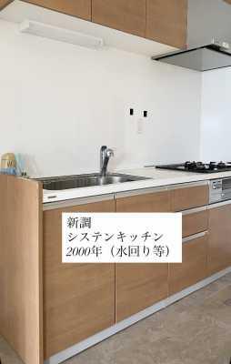 キッチン  写真撮影日：2025-06-30