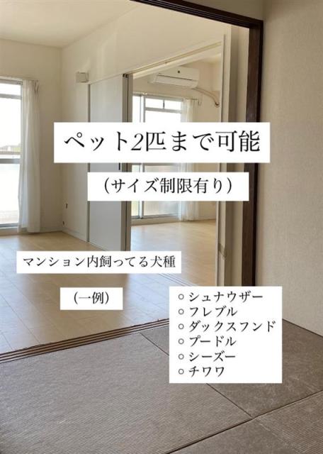 その他  写真撮影日：2025-06-30