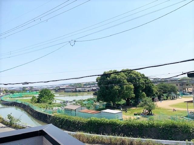 バルコニー  写真撮影日：2025-06-07