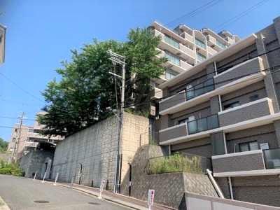 現地外観写真  写真撮影日：2025-07-06