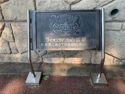 その他  写真撮影日：2025-07-06