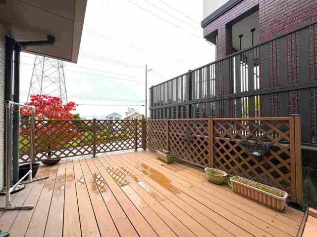 庭  写真撮影日：2025-11-09