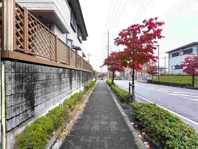 前面道路含む現地写真  写真撮影日：2025-11-09